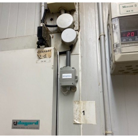 Capteur.co surveillance de température en temps réel